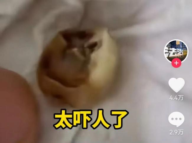 圖片來(lái)源：抖音＠法治進(jìn)行時(shí) 截圖