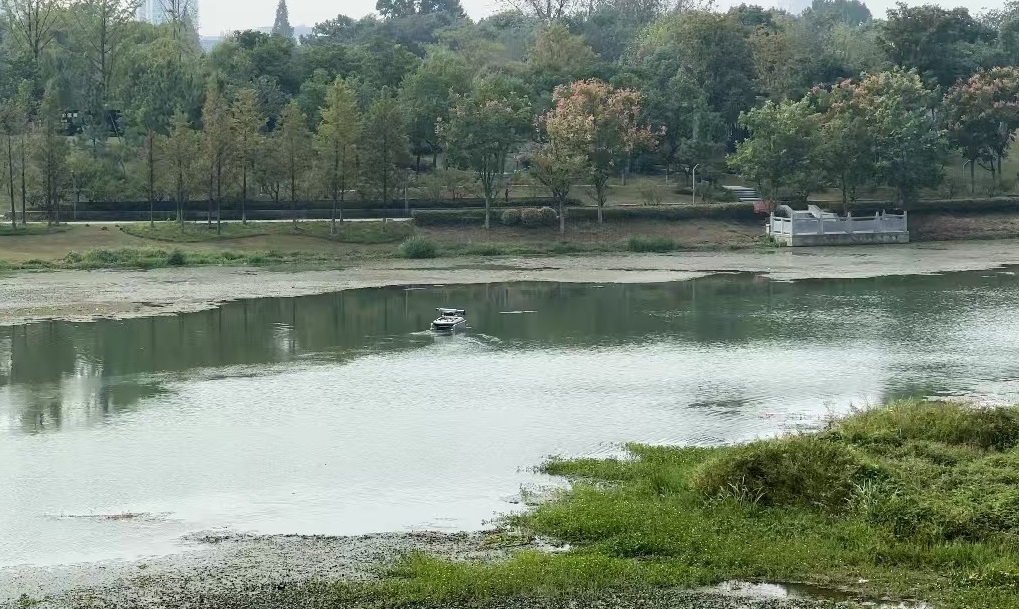 《財米油鹽》不定時vlog｜5G在“浙”里高飛 低空經(jīng)濟抵達