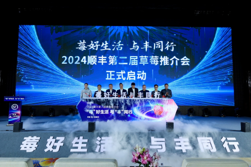 運(yùn)能提升超 20%！順豐打造“直播+物流”新業(yè)態(tài)，為丹東草莓