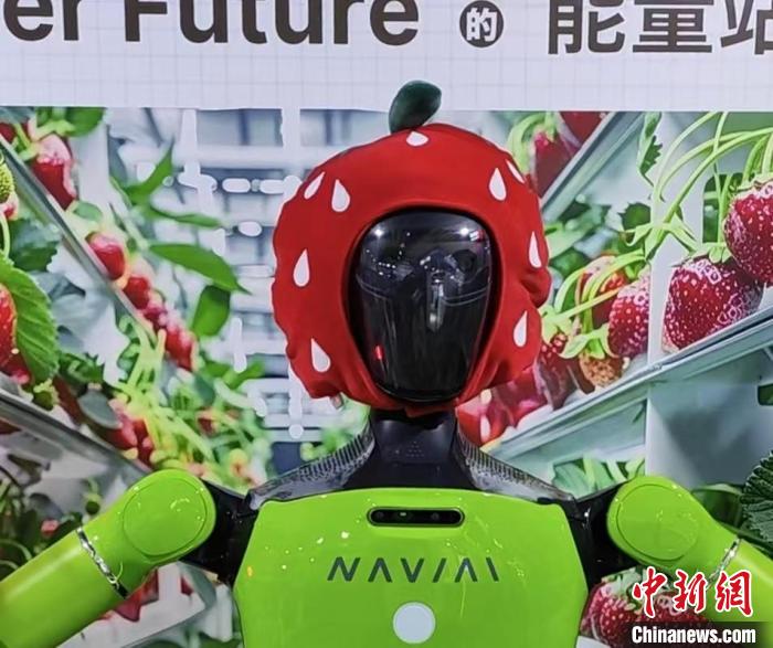 低空經(jīng)濟網(wǎng)2024| “黑科技”扎堆亮相烏鎮(zhèn)峰會 AI走入尋