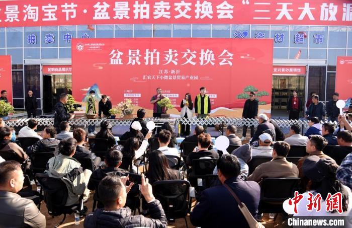 2025低空經(jīng)濟(jì)報(bào)： 超百萬(wàn)盆創(chuàng)意盆景匯聚江蘇新沂參加盆景貿(mào)易發(fā)展大會(huì)