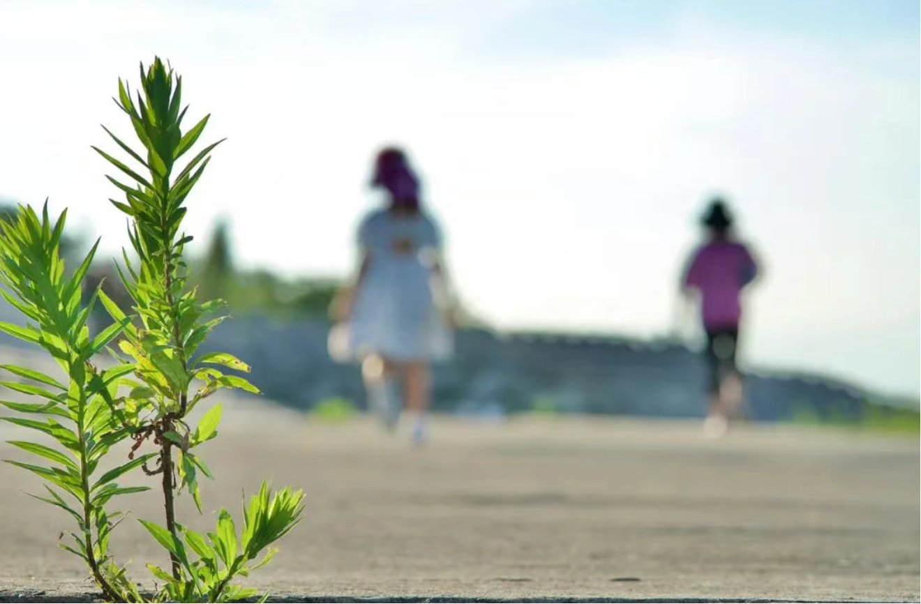 平安福溫情守護(hù) | 從保費(fèi)困境到68萬(wàn)理賠 一份保障的生命力