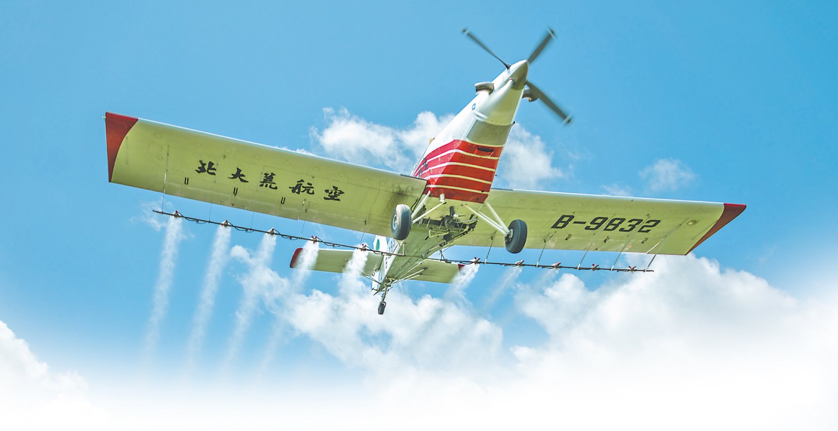 畫眉鳥飛機(jī)航化作業(yè)。李建鵬攝